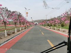 -红石沟生态休闲农场