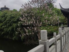 -重庆园博园