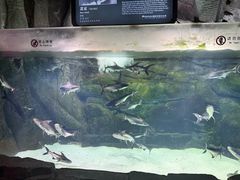 -泉城欧乐堡海洋极地世界