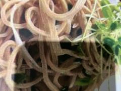 -豫满楼(郑东新区店)