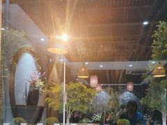 -野菌皇海景野生菌火锅(滨海大道店)
