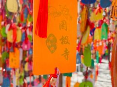 -罔极寺