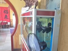 -闻香阁·清真(光荣道店)