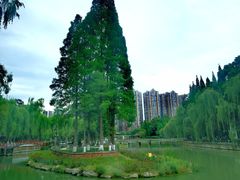 -温江公园