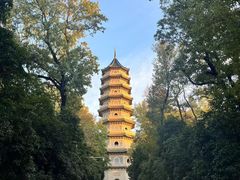 -灵谷景区