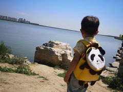 -天津东丽湖风景区