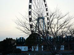-顾村公园