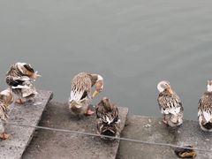 -东钱湖旅游度假区