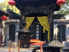 -大槐树寻根祭祖园
