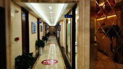 -碧莲盛·不剃发植发