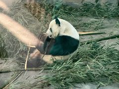 -青藏高原野生动物园