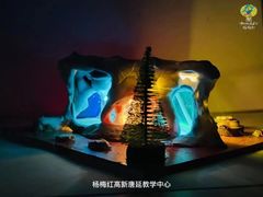 -杨梅红艺术教育(西安高新唐延教学中心)