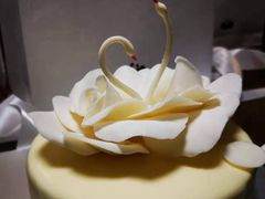 -BLACKSWAN黑天鹅(环球店)