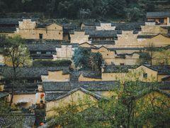 -杨家堂村
