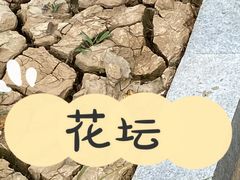 -阜外华中心血管病医院