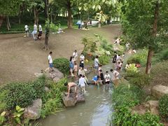 -新洲生态园