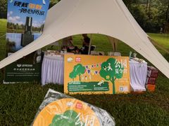 -莲花山公园