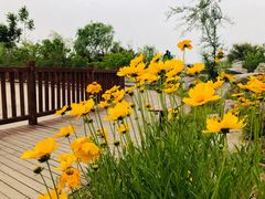 -永定河休闲森林公园