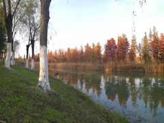 -艾溪湖湿地公园