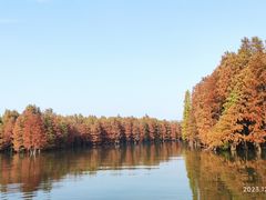 -尚湖风景区