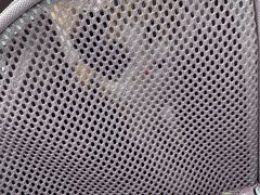 -宠爱国际动物医院·消化内科·心肾内科·ISFM猫友好(望京店)