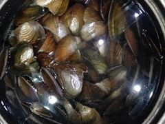-全乐鱼馆·淳牌有机鱼直营店