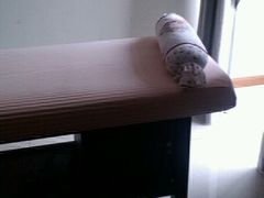 -艺林盲人按摩院(长寿店)