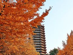 -玲珑塔公园