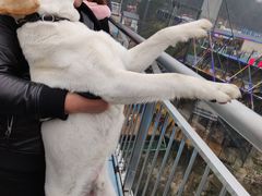 -梦幻奥陶纪景区