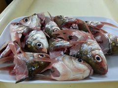 android_upload_pic-秦记南岗鱼锅(珠吉路店)