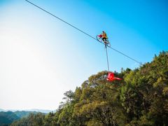 -九龙江国家森林公园