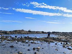 -海合安青岛极地海洋公园