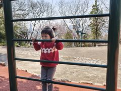 -九华山公园