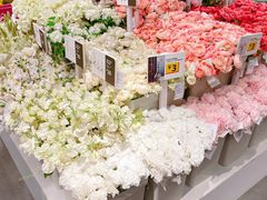 -宜家家居(哈尔滨商场店)