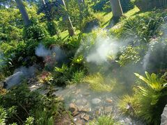 -东莞植物园