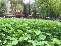 -四川大学(望江校区)