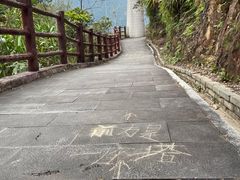 -羚羊峡古栈道森林公园