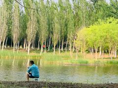 -东郊湿地公园