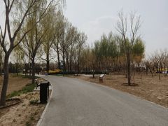 -东郊湿地公园