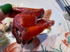 吊烧乳鸽-鱼翅楼·津派砂锅鱼翅(水上公园店)