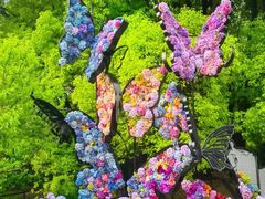 -上海共青森林公园