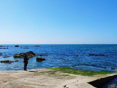 -养马岛旅游度假区