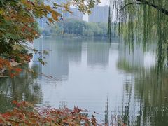 -杭州城北体育公园