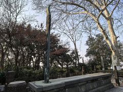 -紫金山天文台