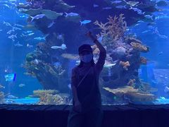 -多彩贵州城极地海洋世界