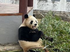 -杭州野生动物世界