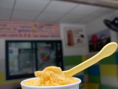 -Papa Gelato 纯手工冰淇淋