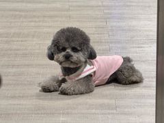 -都市枪神实弹射击俱乐部