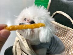 -虎虎龙虾大排档(双井店)