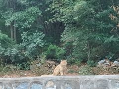 -北京西山国家森林公园